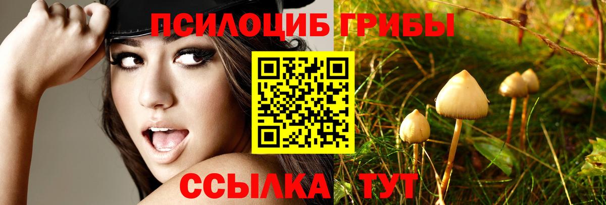 Псилоцибиновые грибы Magic Shrooms Сатка